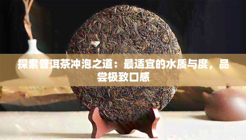 探索普洱茶冲泡之道：最适宜的水质与度，品尝极致口感