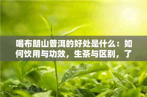 喝布朗山普洱的好处是什么：如何饮用与功效，生茶与区别，了解特点。