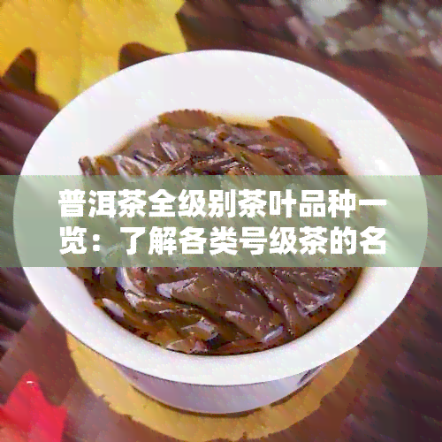 普洱茶全级别茶叶品种一览：了解各类号级茶的名称与特点