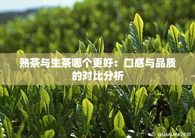 熟茶与生茶哪个更好：口感与品质的对比分析