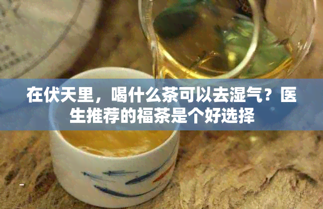 在伏天里，喝什么茶可以去湿气？医生推荐的福茶是个好选择