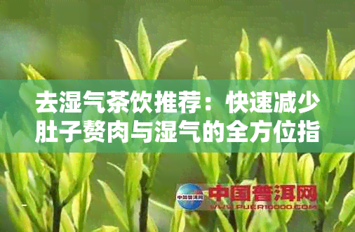 去湿气茶饮推荐：快速减少肚子赘肉与湿气的全方位指南