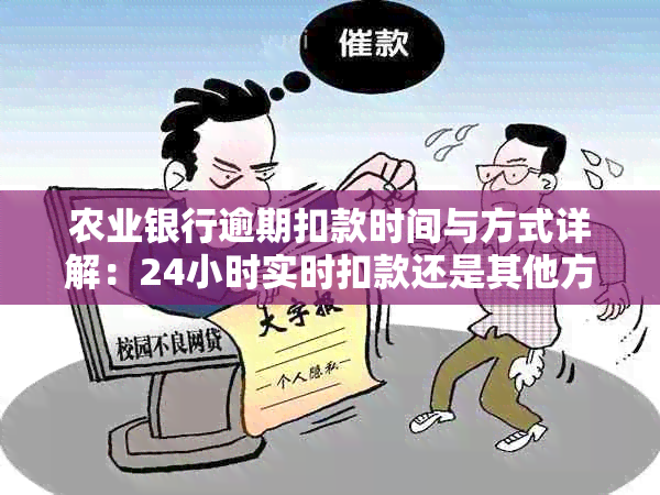 农业银行逾期扣款时间与方式详解：24小时实时扣款还是其他方式？