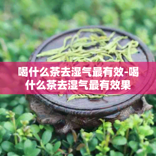 喝什么茶去湿气最有效-喝什么茶去湿气最有效果