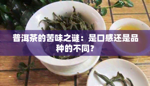 普洱茶的苦味之谜：是口感还是品种的不同？