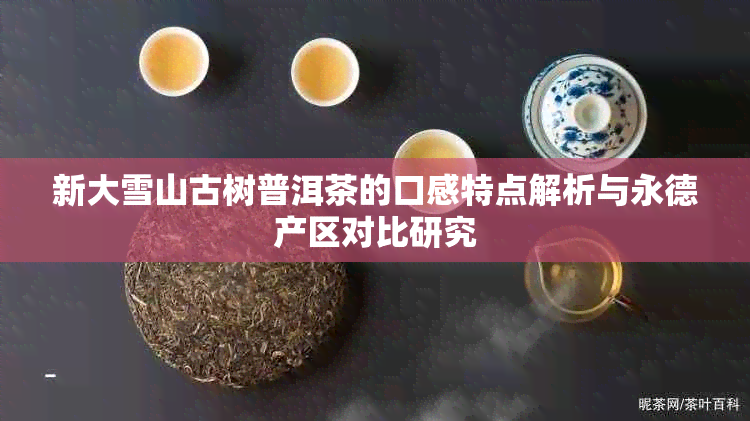 新大雪山古树普洱茶的口感特点解析与永德产区对比研究