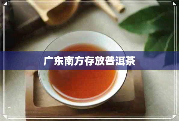 广东南方存放普洱茶