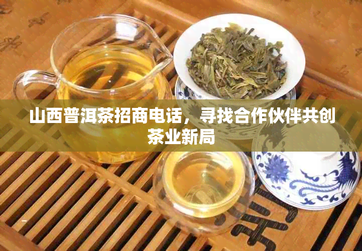 山西普洱茶招商电话，寻找合作伙伴共创茶业新局