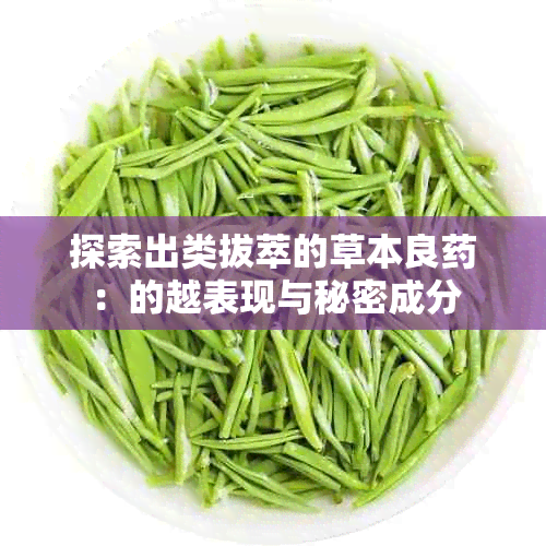 探索出类拔萃的草本良：的越表现与秘密成分