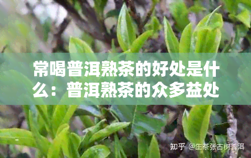 常喝普洱熟茶的好处是什么：普洱熟茶的众多益处。