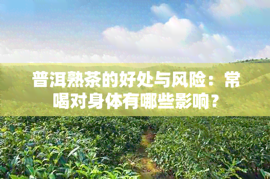 普洱熟茶的好处与风险：常喝对身体有哪些影响？