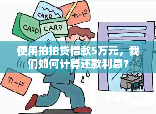 使用拍拍贷借款5万元，我们如何计算还款利息？