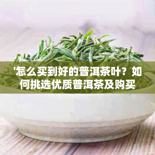 '怎么买到好的普洱茶叶？如何挑选优质普洱茶及购买建议'