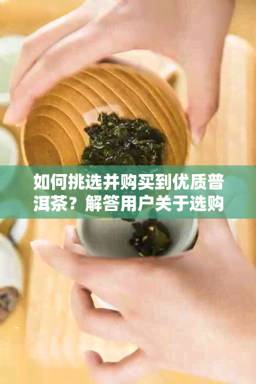 如何挑选并购买到优质普洱茶？解答用户关于选购普洱茶的全方位指南