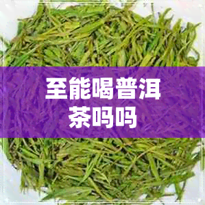 至能喝普洱茶吗吗