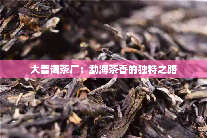 大普洱茶厂：勐海茶香的独特之路