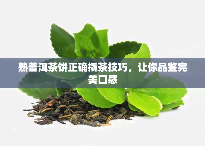 熟普洱茶饼正确撬茶技巧，让你品鉴完美口感