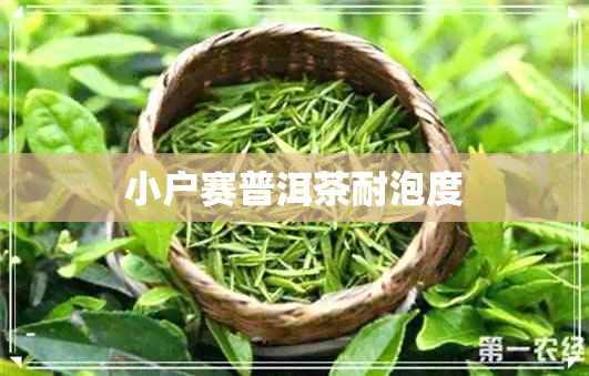 小户赛普洱茶耐泡度