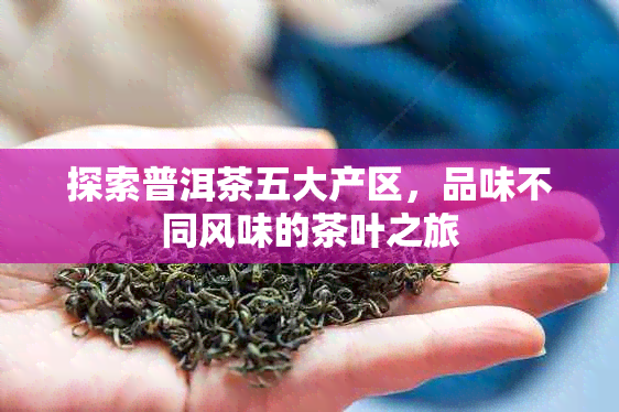 探索普洱茶五大产区，品味不同风味的茶叶之旅