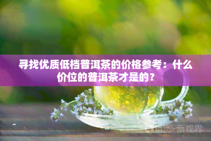 寻找优质低档普洱茶的价格参考：什么价位的普洱茶才是的？