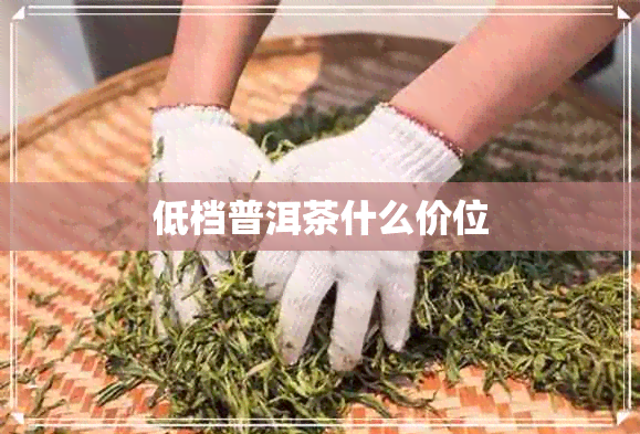 低档普洱茶什么价位