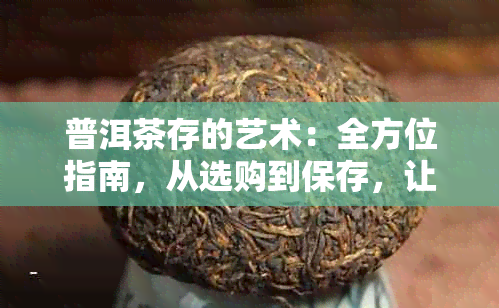 普洱茶存的艺术：全方位指南，从选购到保存，让你的茶叶保持品质