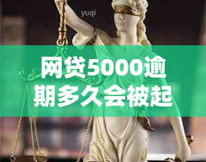 网贷5000逾期多久会被起诉：成功起诉的关键时间点与应对策略