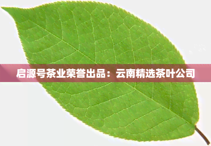 启源号茶业荣誉出品：云南精选茶叶公司