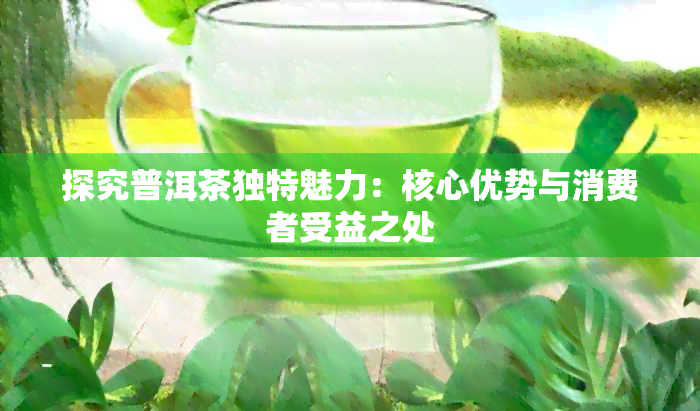 探究普洱茶独特魅力：核心优势与消费者受益之处