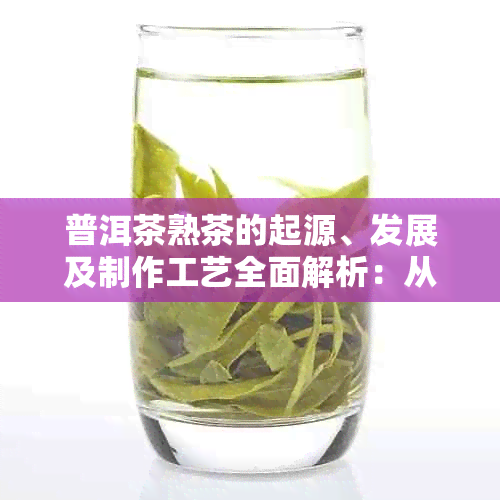 普洱茶熟茶的起源、发展及制作工艺全面解析：从历到现代的品鉴与鉴