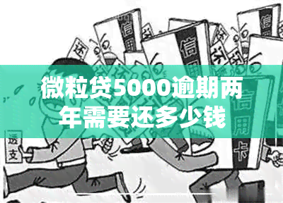 微粒贷5000逾期两年需要还多少钱