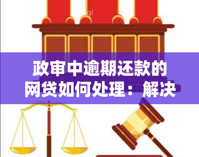 政审中逾期还款的网贷如何处理：解决方法与影响分析