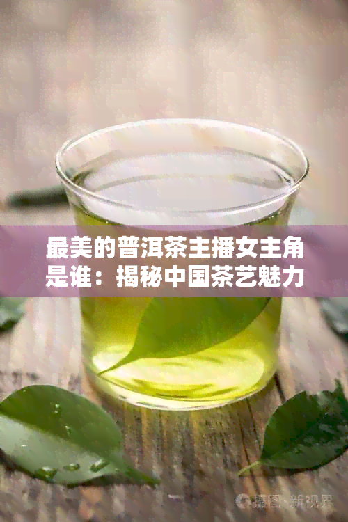 最美的普洱茶主播女主角是谁：揭秘中国茶艺魅力背后的女性力量