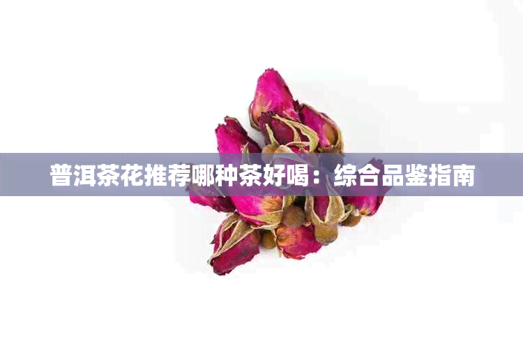 普洱茶花推荐哪种茶好喝：综合品鉴指南