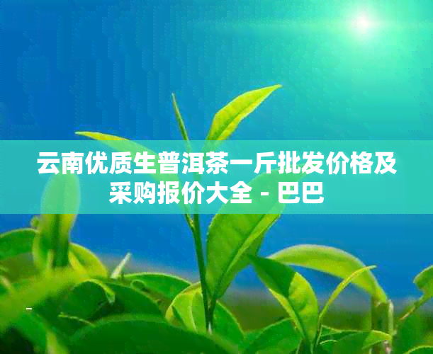 云南优质生普洱茶一斤批发价格及采购报价大全 - 巴巴