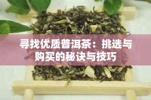 寻找优质普洱茶：挑选与购买的秘诀与技巧