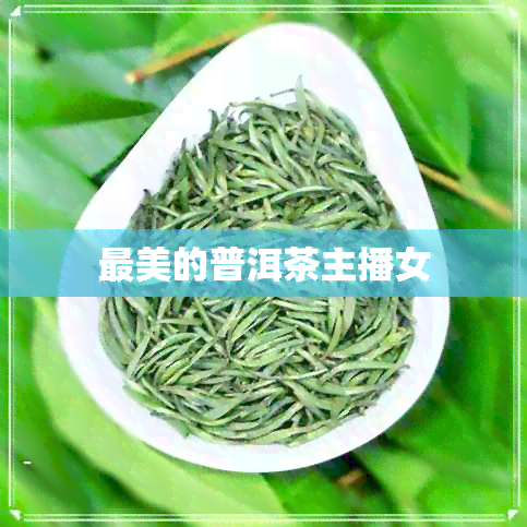 最美的普洱茶主播女