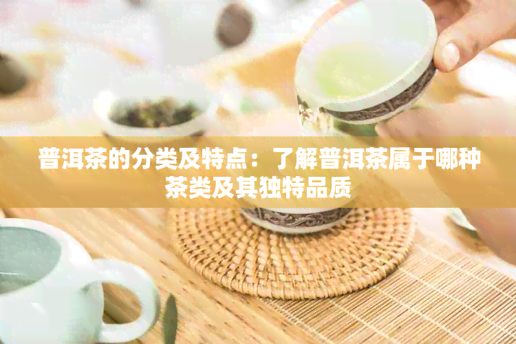 普洱茶的分类及特点：了解普洱茶属于哪种茶类及其独特品质