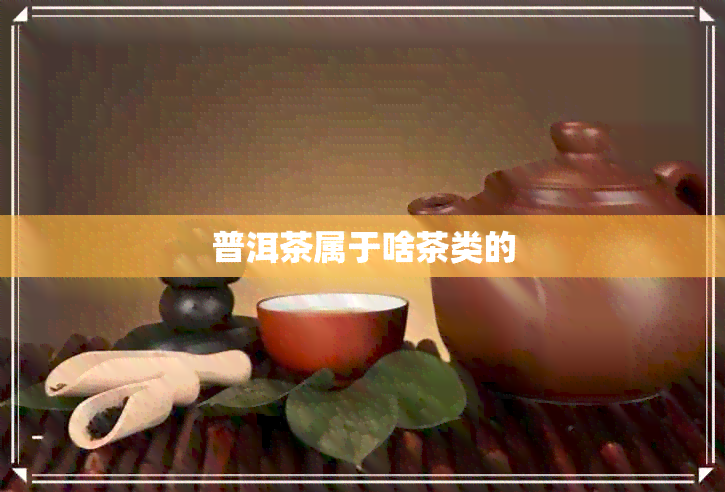 普洱茶属于啥茶类的