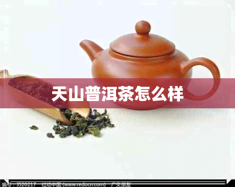 天山普洱茶怎么样