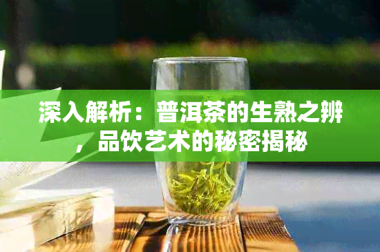 深入解析：普洱茶的生熟之辨，品饮艺术的秘密揭秘