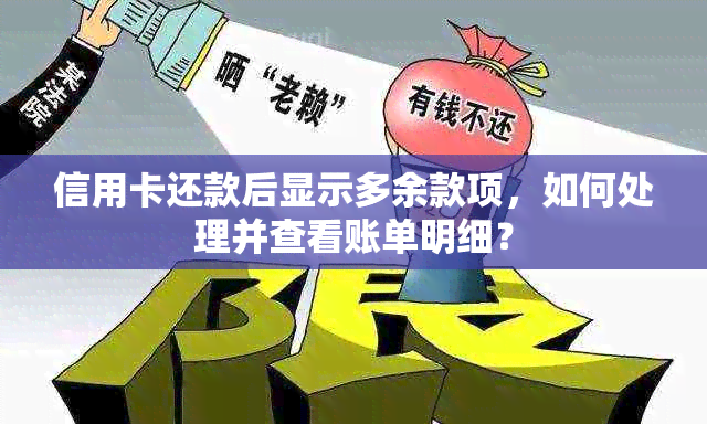 信用卡还款后显示多余款项，如何处理并查看账单明细？