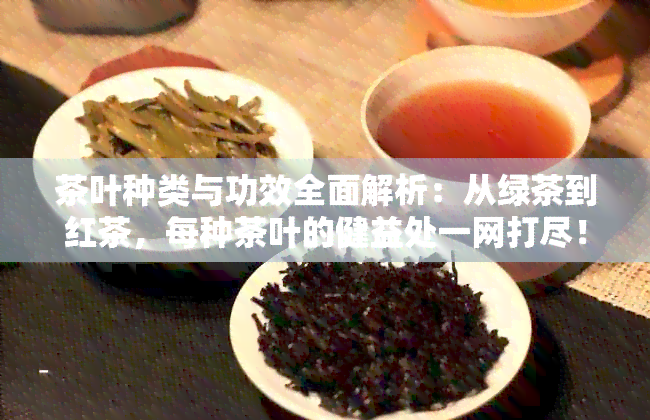 茶叶种类与功效全面解析：从绿茶到红茶，每种茶叶的健益处一网打尽！