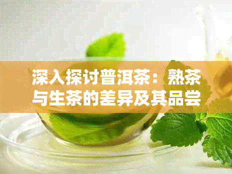 深入探讨普洱茶：熟茶与生茶的差异及其品尝技巧