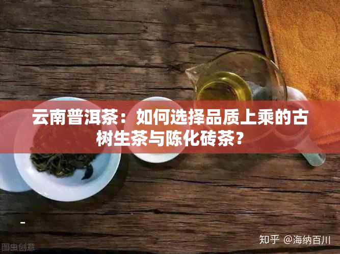 云南普洱茶：如何选择品质上乘的古树生茶与陈化砖茶？