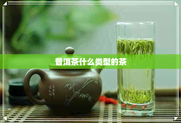 普洱茶什么类型的茶