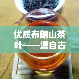 优质布朗山茶叶——源自古树的醇厚口感，批发价格特