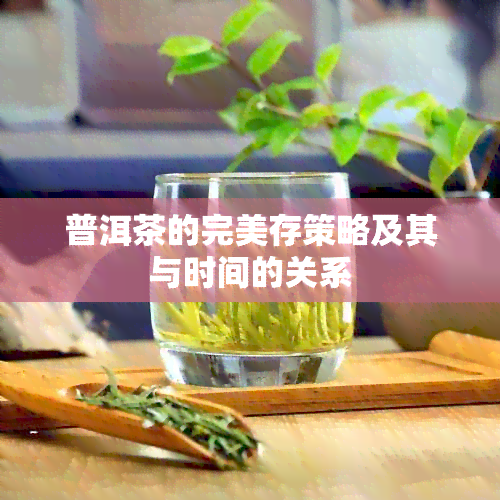 普洱茶的完美存策略及其与时间的关系