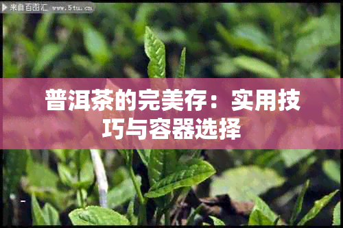 普洱茶的完美存：实用技巧与容器选择