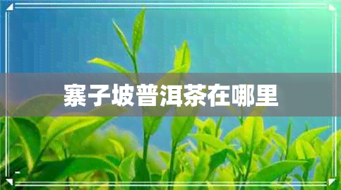 寨子坡普洱茶在哪里